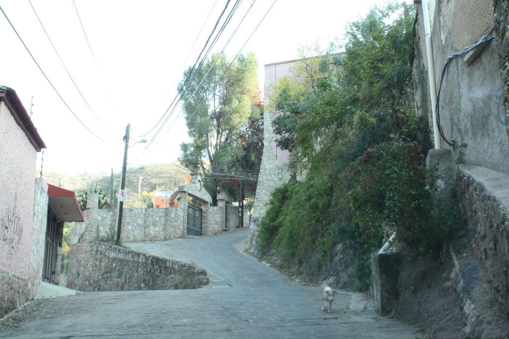 Arquitectos Departamento 11-5 Lägenhet Guanajuato Exteriör bild